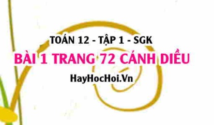 Bài 1 trang 72 Toán 12 tập 1 Cánh Diều